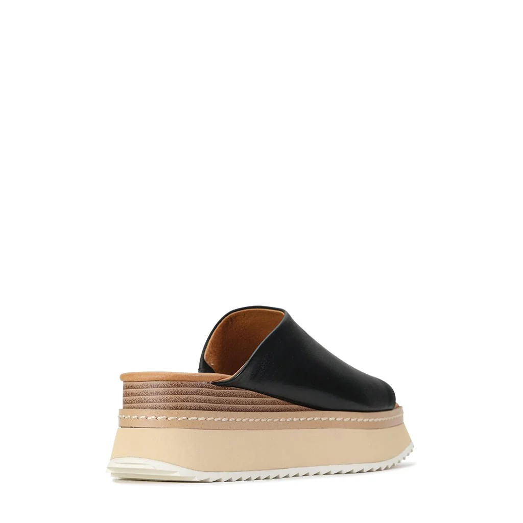 TONE - Image 11