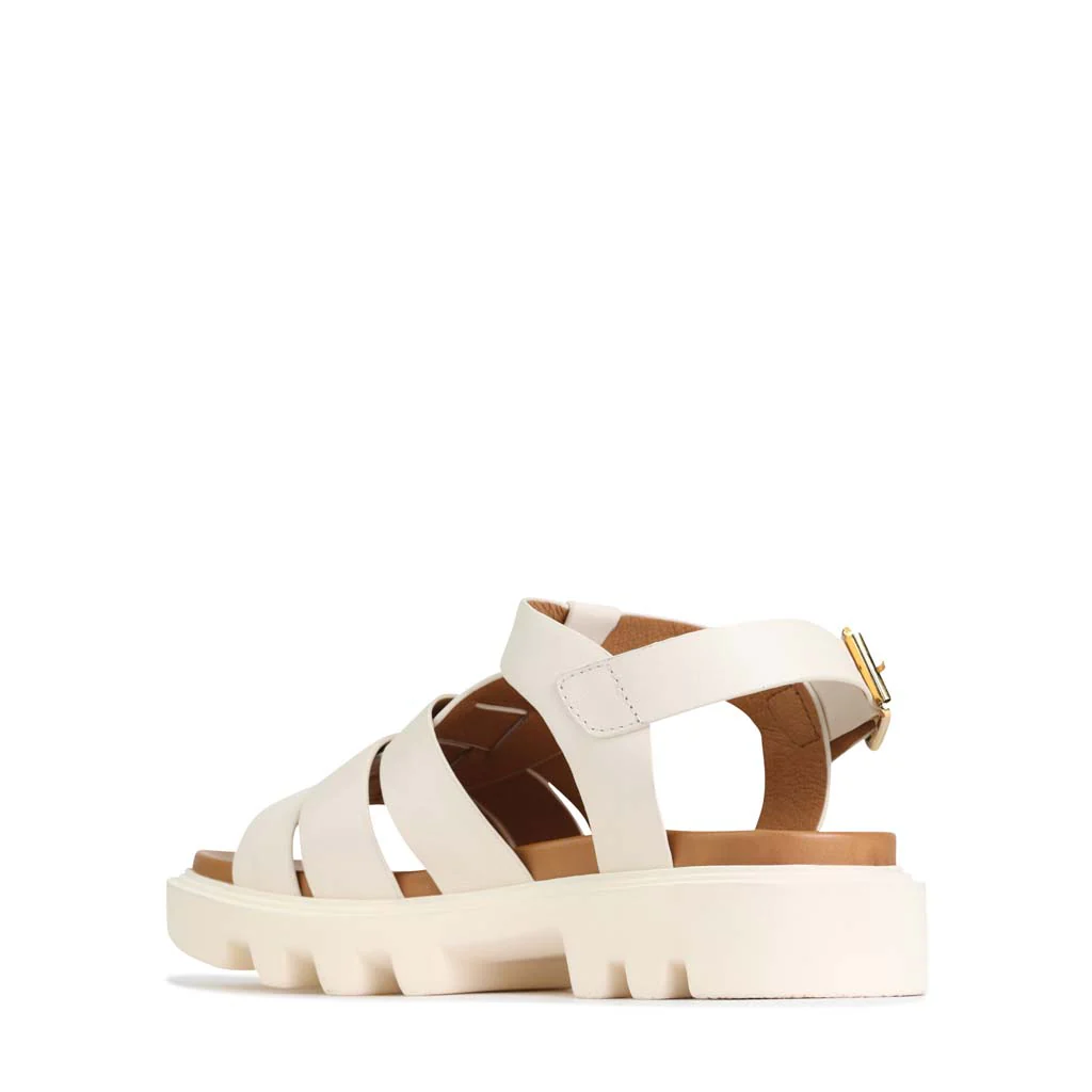FLIGHTS - Image 7